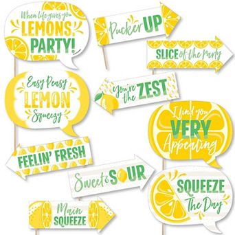 Big Dot Of Happiness Funny So Fresh - Lemon - Citrus Lemonade Party Photo Booth Props 10 pc