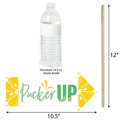 Big Dot Of Happiness Funny So Fresh - Lemon - Citrus Lemonade Party Photo Booth Props 10 Pc