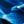 Navy Wave