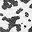 Blk Wht