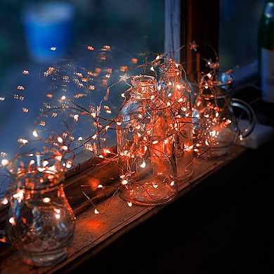 Twinkle Star 33ft 100 Led Silver Wire Fairy String Lights
