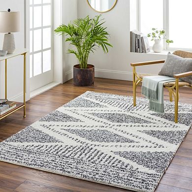 Gever Global Area Rug - Livabliss