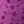 Aubergine