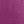 Magenta Daisy
