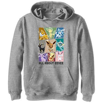 Boys Pokemon All About Eevee Boxes Graphic Hoodie