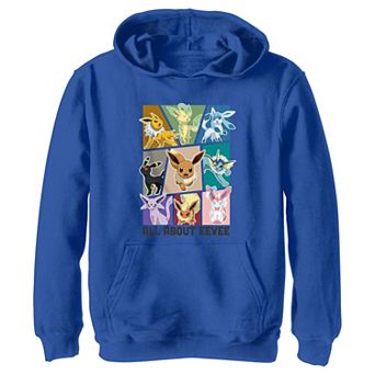 Boys Pokemon All About Eevee Boxes Graphic Hoodie