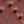 Burnt Umber