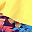 Yellow Blue Safflower