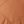 Camel Brown