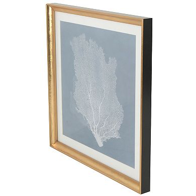 Coral Study I Framed Wall Art