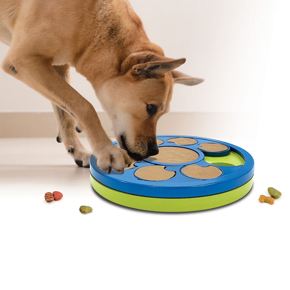 Pet Knows Best Pup Treat Puzzle & Nail File Dog Toy