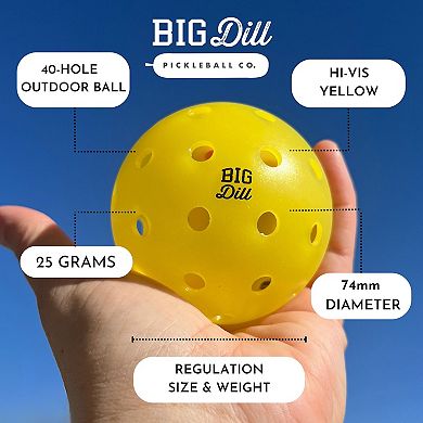 Relish Outdoor Pickleball Balls (pack Of 4)