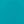Dusty Cactus