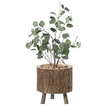 Wooden Stump Tree Log with Bark Planter Pot with Tree Branch Legs