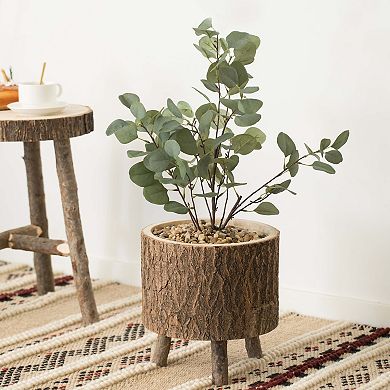 Wooden Stump Tree Log with Bark Planter Pot with Tree Branch Legs