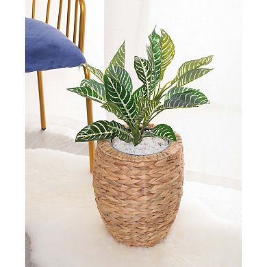 Water Hyacinth Round Floor Planter with Metal Pot