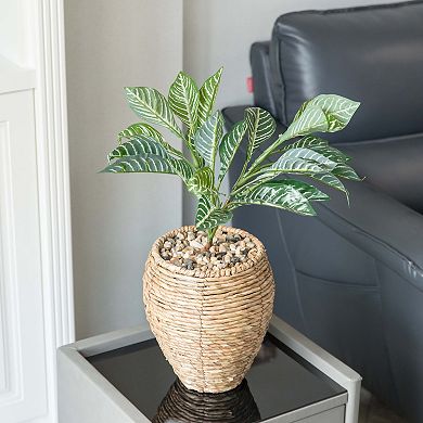 Woven Round Flower Pot Planter Basket with Leak-Proof Plastic Lining