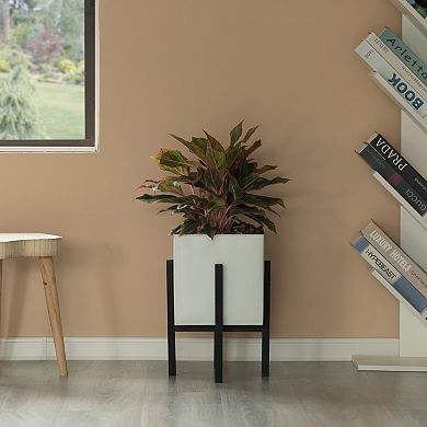 Indoor and Outdoor White Iron Planting Box with Black Wooden Frame