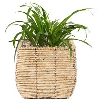 Woven Square Flowerpot Planter with Leak-Proof Plastic Lining