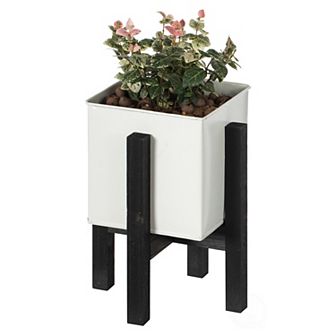 Indoor and Outdoor Iron Planting Box with Black Wooden Frame