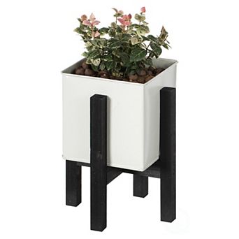 Indoor and Outdoor Iron Planting Box with Black Wooden Frame
