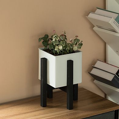 Indoor and Outdoor Iron Planting Box with Black Wooden Frame