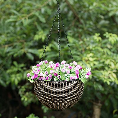 plant food for money tree Premium Liquid MONEY TREE Plant Fertilizer - 3-1-2 Concentrate for Indoor Plants and Flowers by Gardenera | Organic Plant Food for MONEY TREE