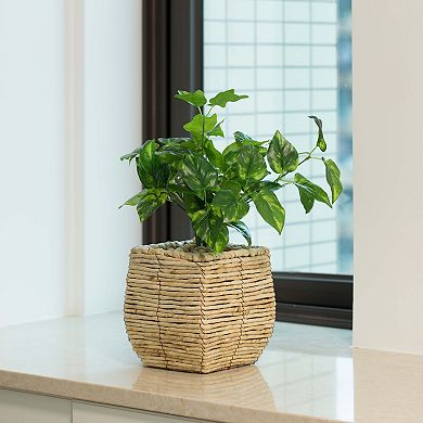 Woven Square Flower Pot Planter with Leak-Proof Plastic Lining