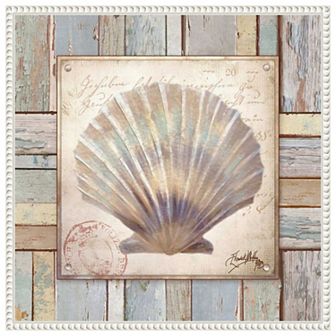 Beach Shell I By Elizabeth Medley Framed Canvas Wall Art Print