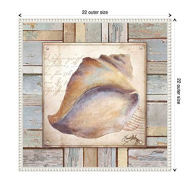 Beach Shell Ii By Elizabeth Medley Framed Canvas Wall Art Print