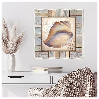 Beach Shell Ii By Elizabeth Medley Framed Canvas Wall Art Print