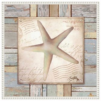 Beach Shell Iv By Elizabeth Medley Framed Canvas Wall Art Print