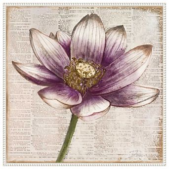Defined Lotus Flower Ii By Patricia Pinto Framed Canvas Wall Art Print
