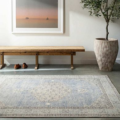 Lila Traditional Area Rug - Becki Owens X Livabliss