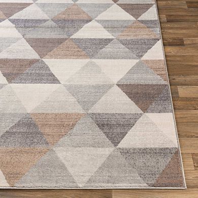 Oshaar Modern Area Rug