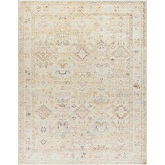 Marlene Traditional Area Rug - Becki Owens X Livabliss