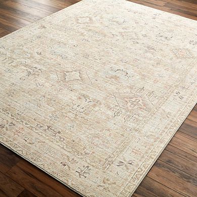 Marlene Traditional Area Rug - Becki Owens X Livabliss