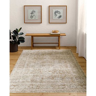 Margaret Traditional Area Rug - Becki Owens X Livabliss
