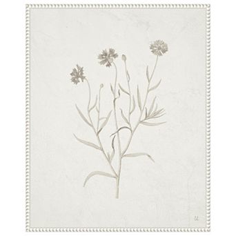 Plants From The Meadow V By Sarah Adams Framed Canvas Wall Art Print