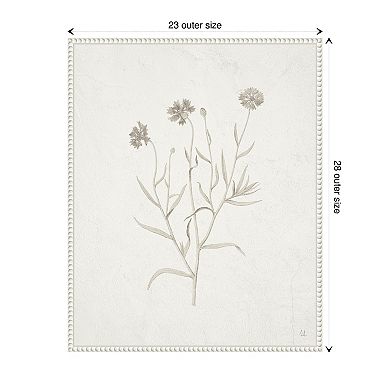 Plants From The Meadow V By Sarah Adams Framed Canvas Wall Art Print