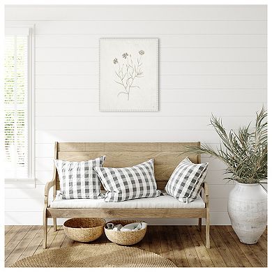 Plants From The Meadow V By Sarah Adams Framed Canvas Wall Art Print