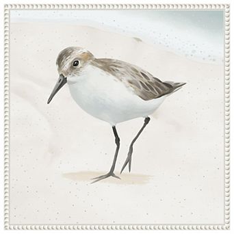 Sandpiper On The Beach Ii By Lucca Sheppard Framed Canvas Wall Art Print