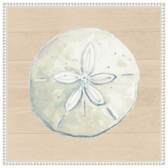 Sand Dollar On Wood Background By Patricia Pinto Framed Canvas Wall Art Print