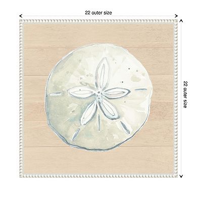 Sand Dollar On Wood Background By Patricia Pinto Framed Canvas Wall Art Print