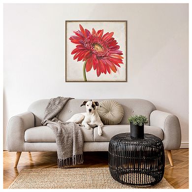 Red Gerber Daisy By Patricia Pinto Framed Canvas Wall Art Print