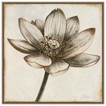Sepia Lotus Blossom Ii By Patricia Pinto Framed Canvas Wall Art Print