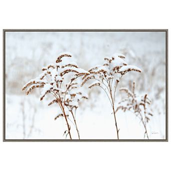 Snowy Gardens By Sue Schlabach Framed Canvas Wall Art Print