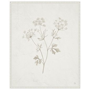 Plants From The Meadow Iv By Sarah Adams Framed Canvas Wall Art Print