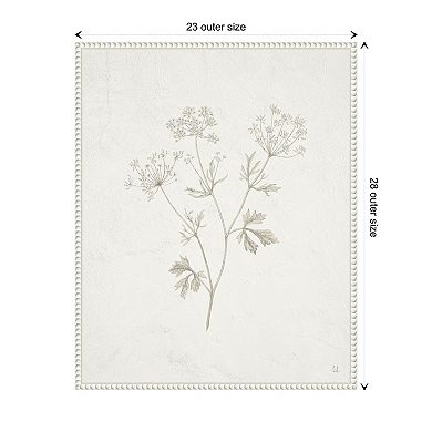 Plants From The Meadow Iv By Sarah Adams Framed Canvas Wall Art Print