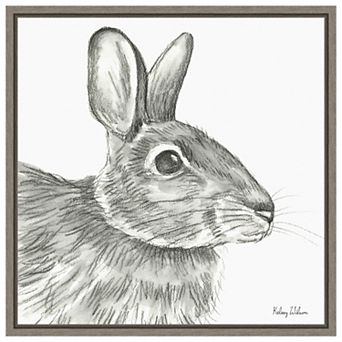 Watercolor Pencil Ii Rabbit By Kelsey Wilson Framed Canvas Wall Art Print